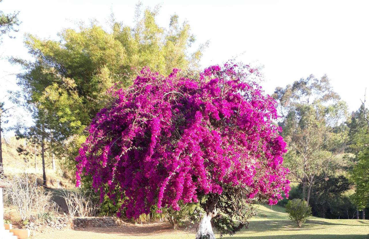 Recanto Das Borboletas Sao Roque  Ngoại thất bức ảnh